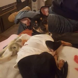 Meet your Posher, Tara